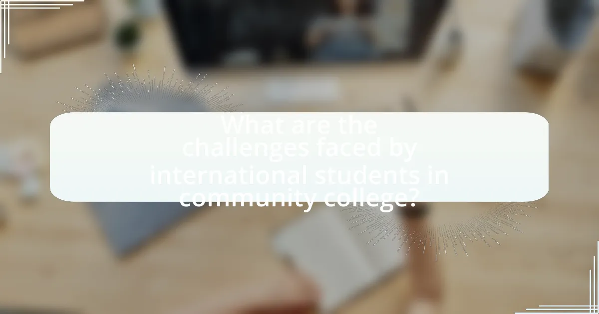 What are the challenges faced by international students in community college?
